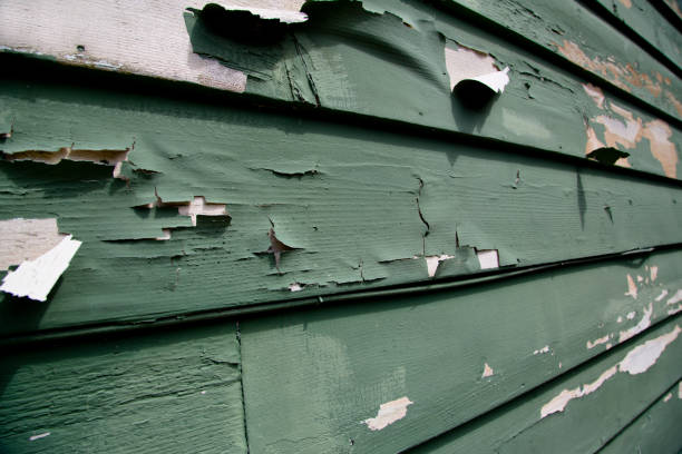 Best Construction Debris Removal  in Lamar, MO